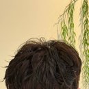 해미용실
