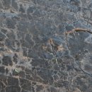 진주 충무공동 익룡ㆍ새ㆍ공룡발자국 화석산지 이미지