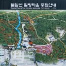 호인 - 대덕구 동춘당로114번길 11-17 | 호인