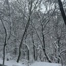 [제천여행]겨울왕국 가족여행 포레스트 리솜/레스트리 리솜/스파 할인 꿀팁 +내부시설 후기
