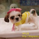 마린시티 종합동물병원 이미지