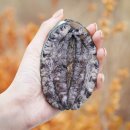 새우일 산소 이미지