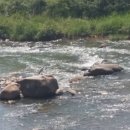 진이네농장 이미지