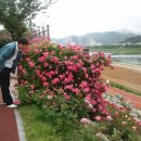 오십천둔치 Daum카페