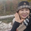 단양글램핑&펜션 이미지