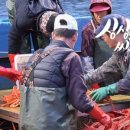 후포리수산물마트 이미지