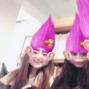 합스카치 이미지