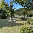 레티피코 이미지