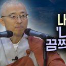 우두로 R Daum카페