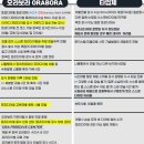 보홀 오라보라 프리다이빙 체험 한국인 강사 강습 내돈내산 후기 (호핑 투어 전 필수코스)