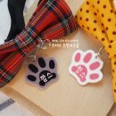 멍멍이발바닥 이미지