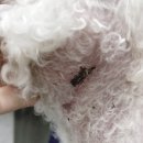 진현우동물병원 이미지