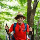 경기벤처연성대학교센터 | 엄홍길 대장 기부 트래킹과 천주산 명당산 트레킹 패키지, 대별산 원정 여행을 한 번에!