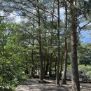 솔봉식당민박 | 강릉 계곡 음식해먹을수 있는 솔봉계곡쉼터 강릉 사람 피서지