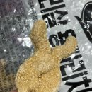 남대천L 이미지