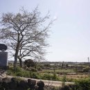 어음1리 복지회관 이미지