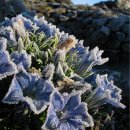 소망환경 이미지