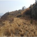 노화읍-3 이미지