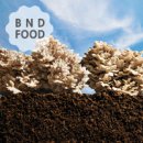 채련농장 이미지