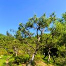 은진2농장 이미지