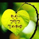 마산명품가발 네이버블로그