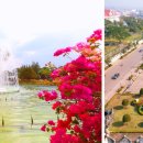 물쌍거리 이미지