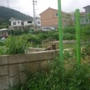 아미야 아롱아 이미지