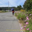 용연2통 이미지