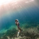 코리아세븐 일산설문대로점 | 배우기 도전! _ 씨집시 프리다이빙 / 서울 경기 수원 성남 잠실 용인 고양 일산프리다이빙 교육 가능