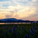 국토종주자전거길1-324 이미지