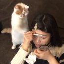 우당탕탕후루
