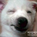 미소 이미지