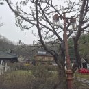 지에스더프레시 고덕그라시움점 | 💍 평택,오산 상견례 추천 | 디새농원 | 고덕 더프레시달달 과일바구니