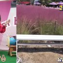 달빛새베이커리앤카페