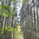 대마관광여행사주 | 대마도 1박2일 가족여행 코스 총정리, 이대로만 가세요