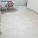 3508 | 강아지 미끄럼방지매트 장판 시공 <컴패니온> 내돈내산 후기