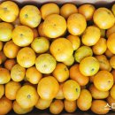 광택농장 이미지