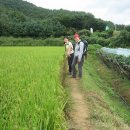 명덕레져 이미지