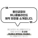 굳잠