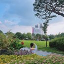 전주시청 이미지