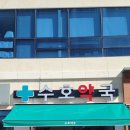 녹색동물약국 네이버블로그