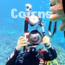 (주)그레이트짐 | 케언즈 그레이트베리어리프 투어, 호주벤처트래블 스쿠버다이빙 후기