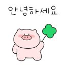 808비어