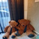 메이드인태리 이미지