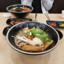 국수나무안중 이미지