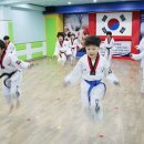 한국체대천지태권도 이미지
