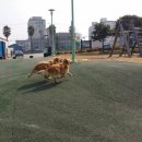 골든광택 네이버블로그
