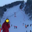 수안보이글벨리스키리조트 이미지