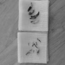 문정탑동물병원 이미지