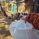 부부손만두 전문 | 남양주 맛집 어랑손만두국 어랑전골 포장